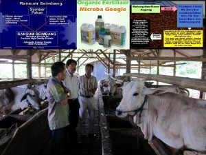 jual pupuk mikroba google di gorontalo utara